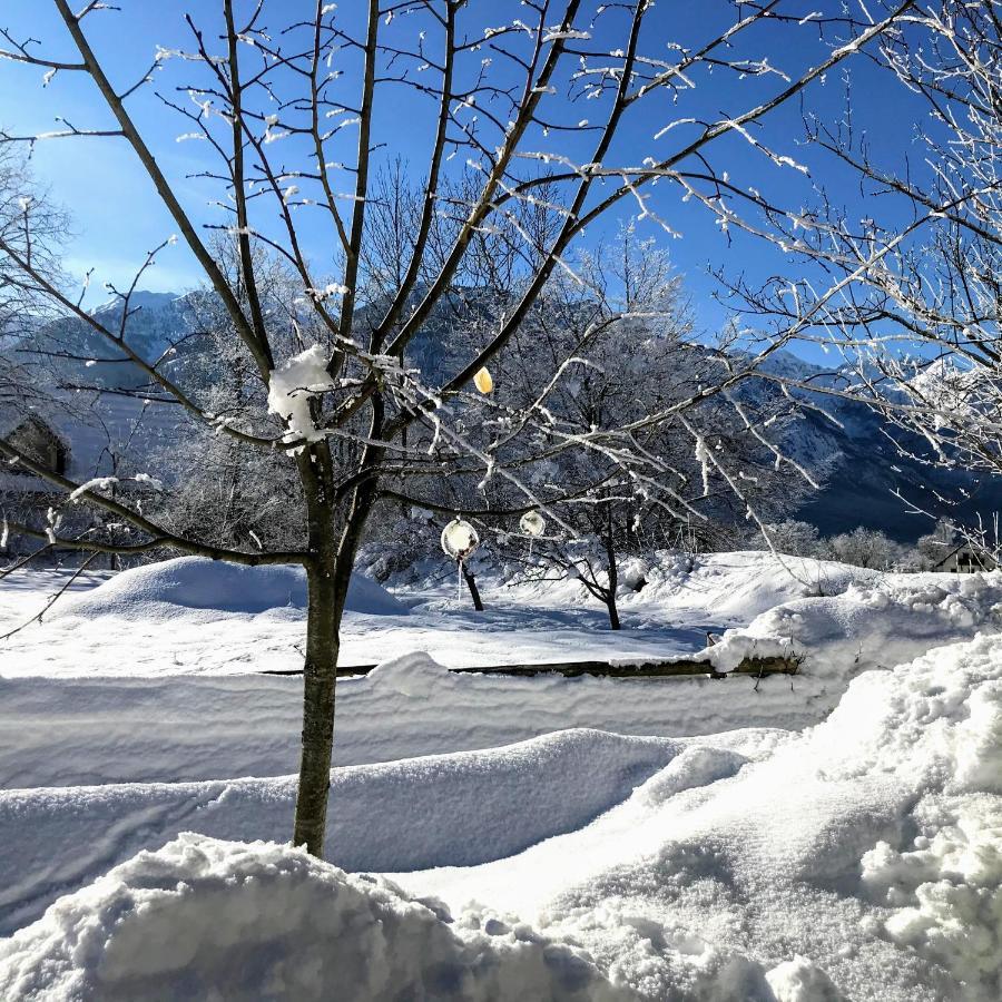 Residence Aurora, Bohinj ภายนอก รูปภาพ