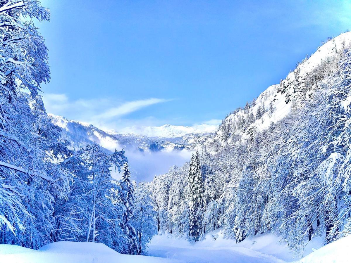 Residence Aurora, Bohinj ภายนอก รูปภาพ