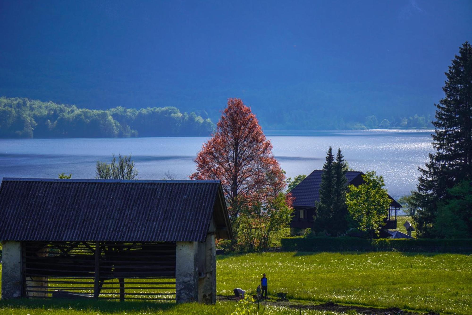 Residence Aurora, Bohinj ภายนอก รูปภาพ
